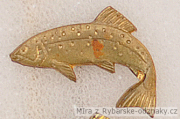 Rybářský odznak Lipan levý