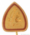 Rybářský odznak Ryna