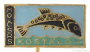 Rybářský odznak MO ČSRS Košťálov