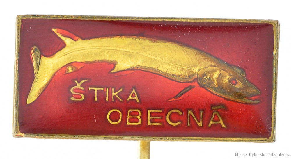 Rybářský odznak Štika